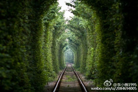 初夏游南京 不得不去那些美过古诗词的美景(4