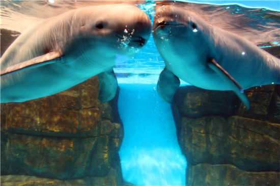 儿童节来了 虎妈猫爸们准备好了吗(2)