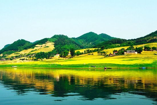 六月辽宁最值得去的油菜花,看这里!