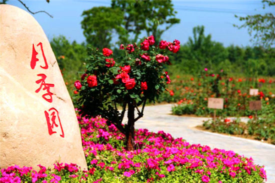 夏日游就要动起来 合肥周边运动好去处