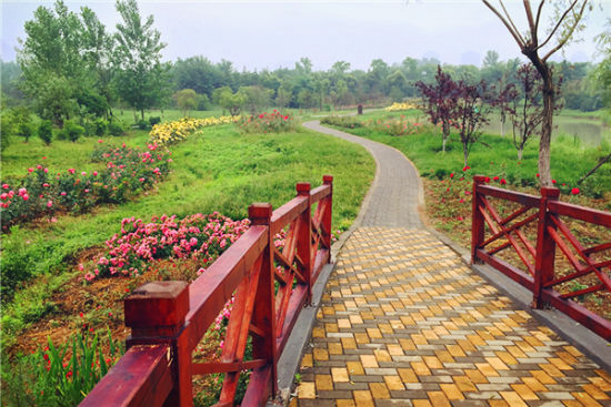 夏日游就要动起来 合肥周边运动好去处