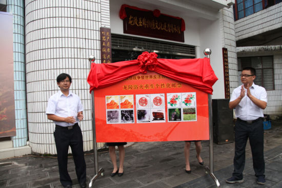 保山抗战文化作品暨纪念邮票发行仪式在龙陵举