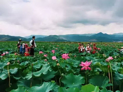 石屏异龙湖