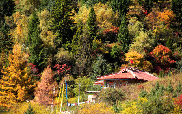 达古冰山 阿坝州第四大旅游精品区