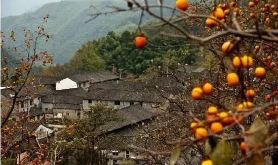 宁波的秋天竟这样诱人