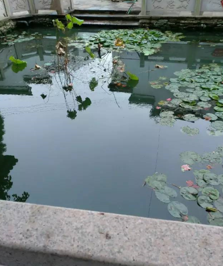 古风古韵 慈溪龙山河头村