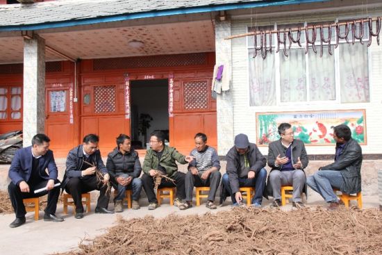 南涧县委书记吉向阳(左四)到村民家向村民了解维和药业以无量药谷带动