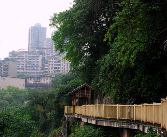 重庆人爱去的重庆地