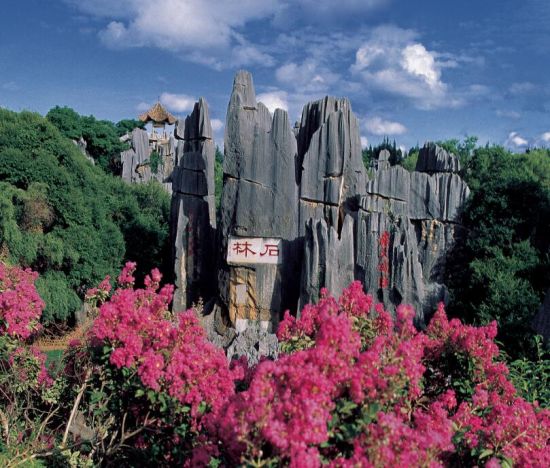 春节游石林 门票享八折_新浪旅游_新浪网
