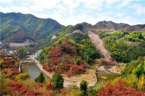 寻找这座城市的美 一辆自行车就够了(2)