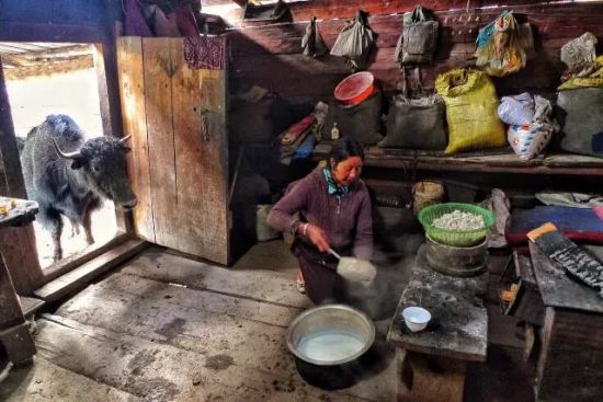 雪域高原上的特色小镇:广东在林芝的援藏旅游