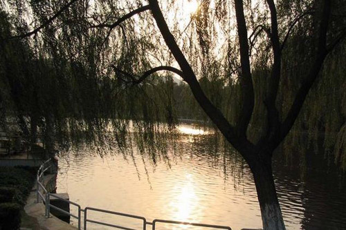 欢乐无限 流连忘返:厦门湖里公园(图)