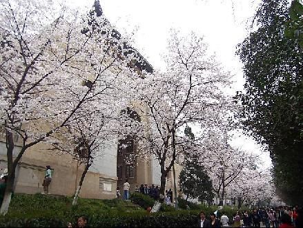 在美景中学习 中国十大景色优美的大学(2)