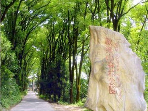 重庆歌乐山森林公园实行分时段免门票