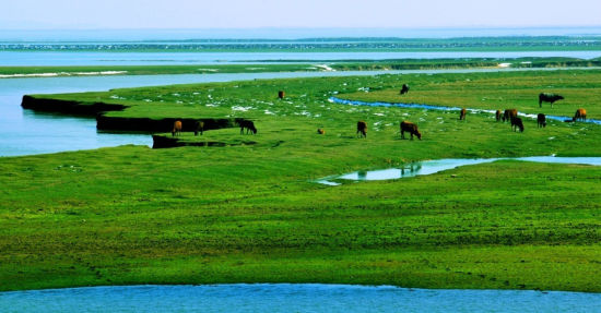 鄱阳湖美景