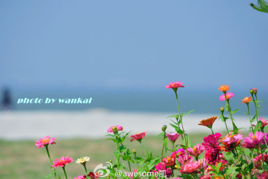 南昌小马尔代夫 冬天来瑶湖感受异域风情的BB