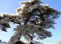 (3)山东泰山(世界自然与文化遗产) 中国的世界文化与自然遗产(六):泰山