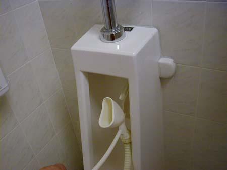 ѩʺʳ
