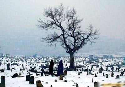 3、1月13日，在阿富汗首都喀布尔，阿富汗妇女从白雪覆盖的墓地走过。