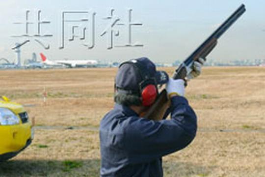 工作人员在羽田机场附近放空枪驱赶飞鸟，以免造成与客机相撞事故