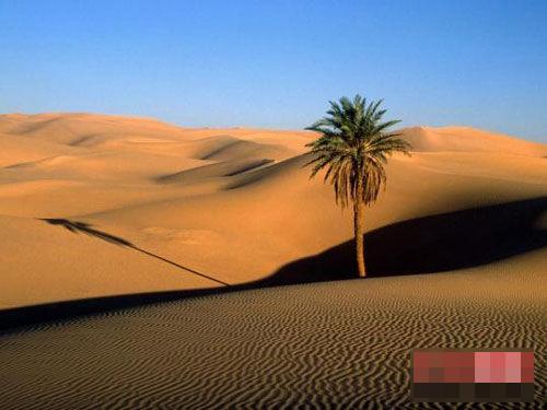 自然界最壮丽的七大奇观:撒哈拉大沙漠(组图)