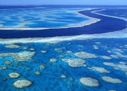 ĴǵĴ󱤽-Great Barrier Reef 