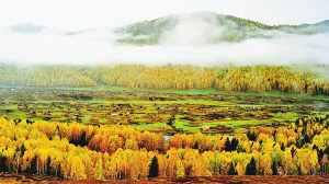 白云笼罩下的禾木乡