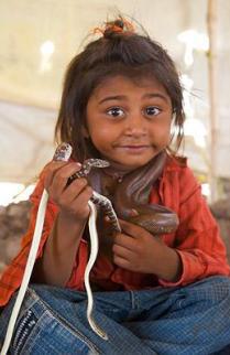 ��(l��)������