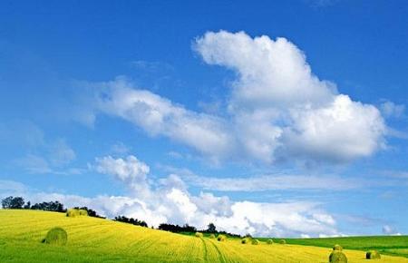 ��������(gu��)