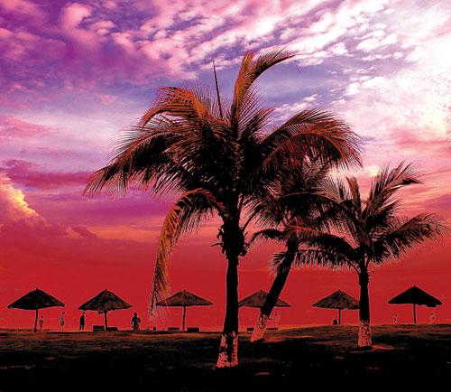 三亚湾最美的时光是日落时分。落日把海面染成灿烂辉煌的金色与红色，又为椰子树刻下了浓厚的剪影―――白天的风清云淡在此时变得浓烈了，即将离去的夕阳似乎执意要留下一幅壮美的图画，用来对抗月色的惨淡