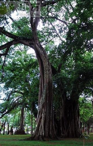 ��(d��)��(sh��)����