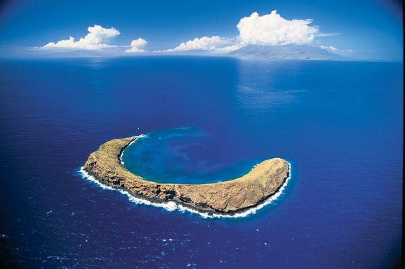 太平洋海岛之旅-绿色高球蓝色浮潜 扣人心弦爱心岛