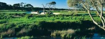 ����-2010������������ս֮�������ݲݵ��͹���