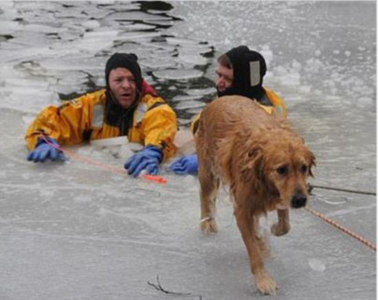 美国警员跳入冰河勇救落水狗获赞