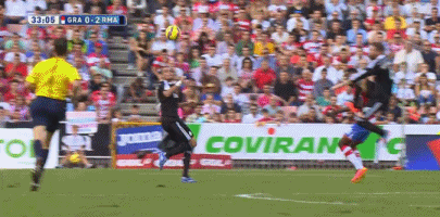 佩佩:兄弟!是时候一争高下了!新浪逗妹吐槽