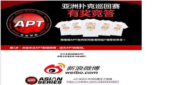 APT�ͺ�������