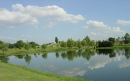 �Ͼ��Ѹ����ʸ߶�����ֲ�����