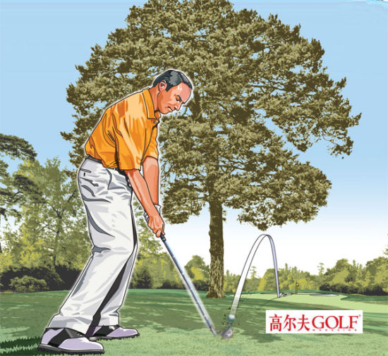 球技-如何打出树下低飞球 收杆时杆头低于双手