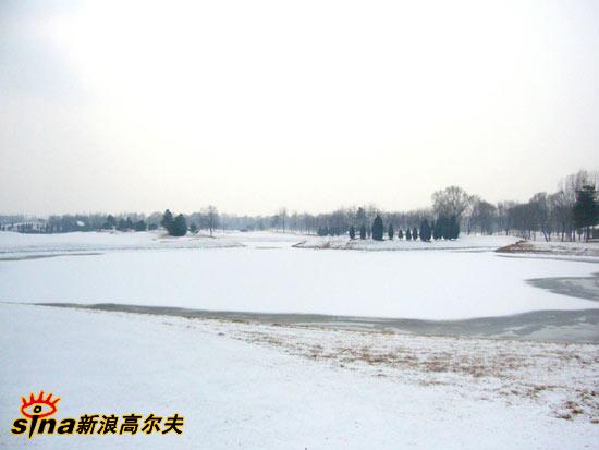 ͼ��-�������ϸ߶�����ѩ�������������ɼ�