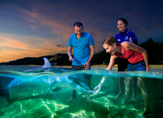 图文-南航巡回赛澳洲休闲旅游 与海豚亲密接触