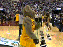 动图-月亮狗送礼物也不忘调皮_篮球-nba_新浪竞技风暴