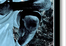 ����۲��88�ڣ��ս��ߣ�