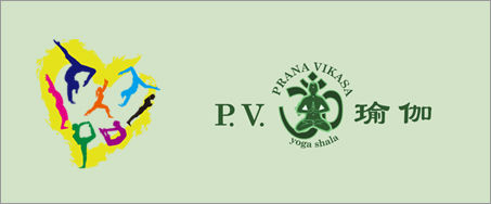 P.V.٤LOGO