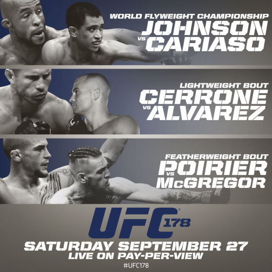 UFC178󽹵