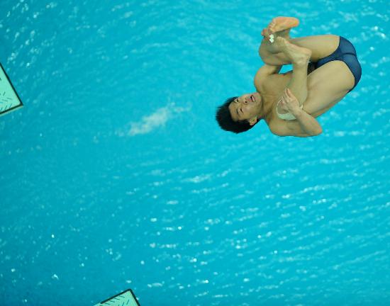 图文-世界杯男子3米板何冲夺冠池水映衬冠军何