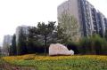 图文-北京奥运村准备就绪 运动员公寓外绿草如茵