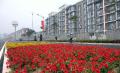 图文-北京奥运村准备就绪 运动员公寓外鲜花盛开