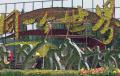 图文-奥运风景扮靓天安门广场 工人在广场摆放鲜花