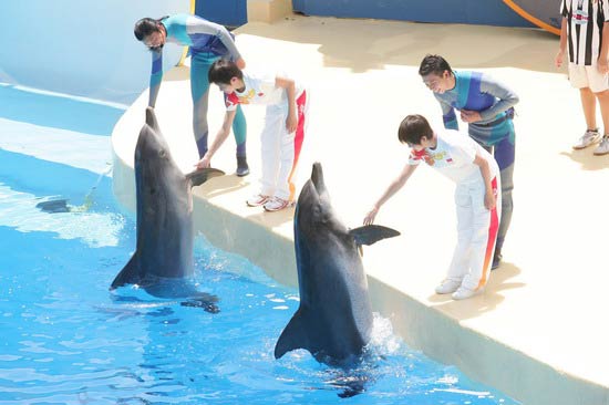 图文-奥运冠军游香港海洋公园 海豚和跳水哪个好玩
