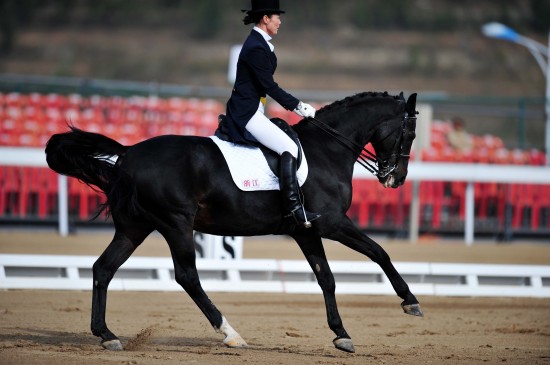 图文-全运马术盛装舞步个人赛赛况